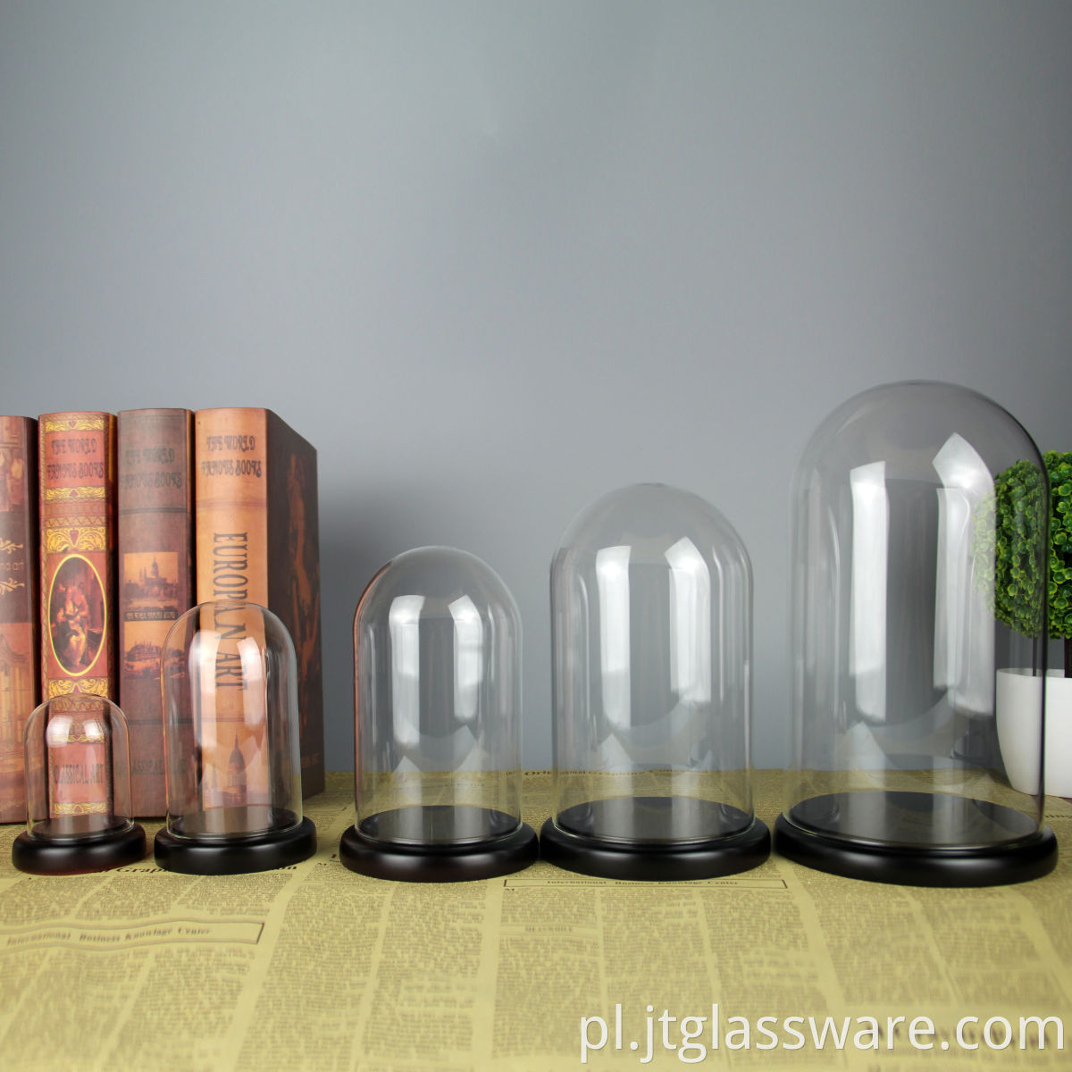 Borosilicate Glass Cloches with Bamboo Base